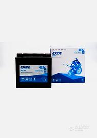 Batteria moto ETX14-BS 12Ah