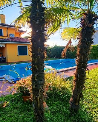 Villa singola con piscina 3 camere e 3 bagni