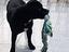 Immagine 1