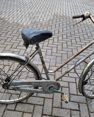 Bici donna Leri modello Mirella