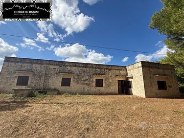 CASALE IN PIETRA con TERRENO E PINETA SECOLARE