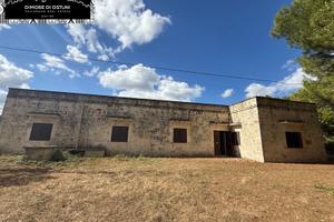 CASALE IN PIETRA con TERRENO E PINETA SECOLARE