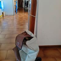 carrellino porta spesa nuovo