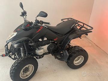 Maxxer 300 Quad 2009
