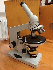 microscopio Russo 