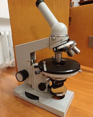microscopio Russo 