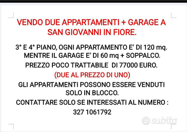 Due appartamenti più garage grande