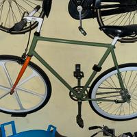 Bicicletta di Design XL