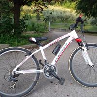 Due bici MTB da ragazzo/a