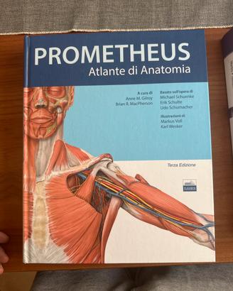 Prometheus atlante anatomia