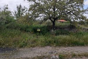 Terreno fabbricabile novenario San Michele