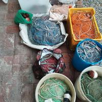 Reti pesca Coregone