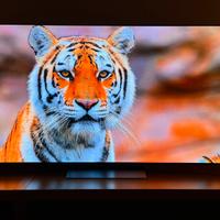 Smart TV LG OLED C5 - settembre 2025
