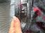 Immagine 2