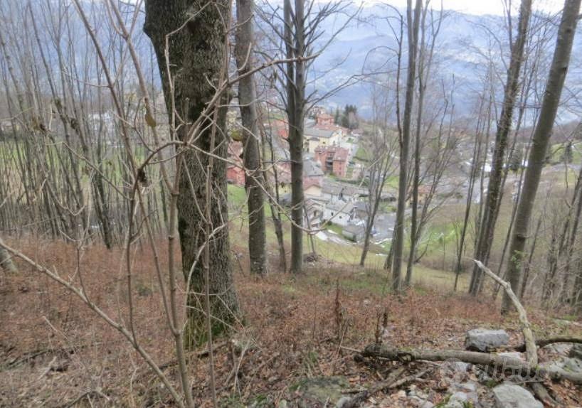 Immobile in asta di 62845 m² a Costa Valle Imagna - Vista 4