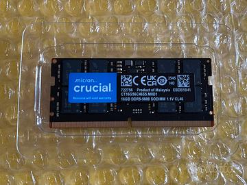 Crucial ram 16gb ddr5 5600mhz