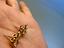 Immagine 4