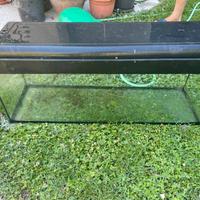 Acquario 120 litri