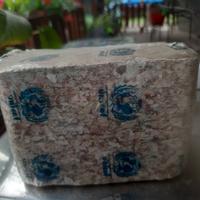 bricchetta banconote triturate