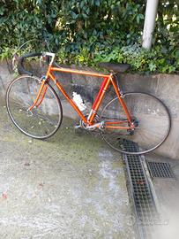 bici da corsa colnago sport