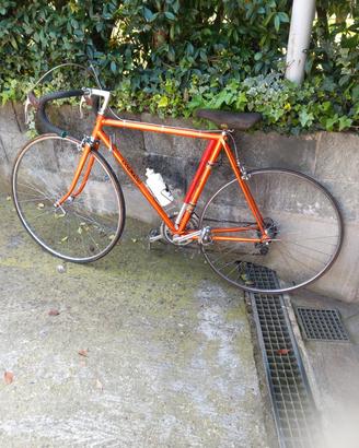 bici da corsa colnago sport