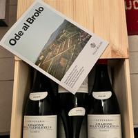 Vino Amarone della Valpolicella 2016 Tenuta Bellin