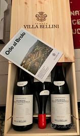 Vino Amarone della Valpolicella 2016 Tenuta Bellin