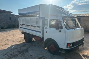 camion om 40 trasporto animali vivi