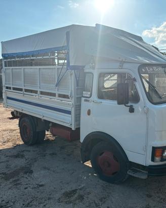 camion om 40 trasporto animali vivi