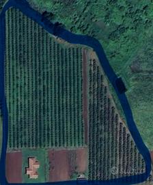 terreno agricolo