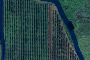 terreno agricolo
