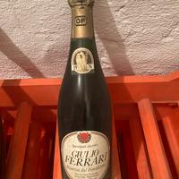 Giulio Ferrari Riserva del Fondatore 1976