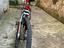 Immagine 2