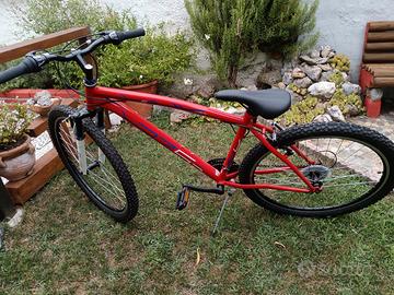 bicicletta