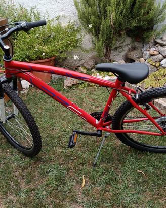 bicicletta