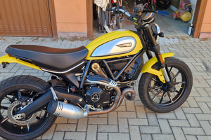 Ducati scrambler icon 800 del 2019