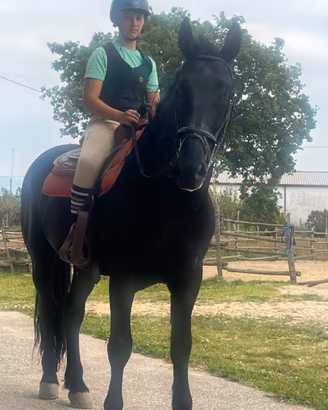 Cavallo