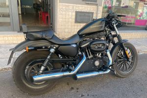 Harley Davidson 883 Iron