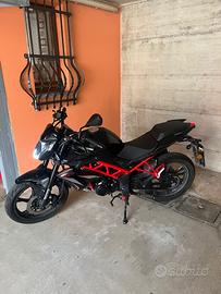 Benelli BN 125 - 2023