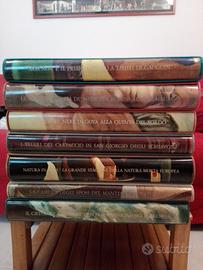 Volumi d'arte da collezione