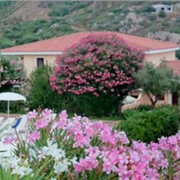 Monolocale in Sardegna