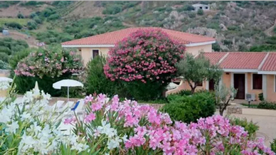 Monolocale in Sardegna