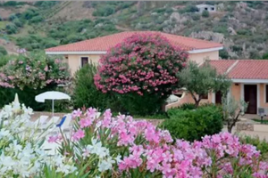 Monolocale in Sardegna