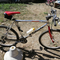 Bicicletta