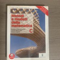 Metodi e Modelli della Matematica - Vol. C