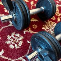 Manubri per palestra