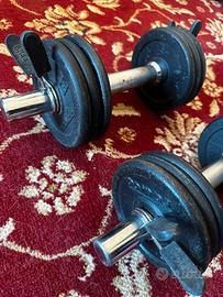 Manubri per palestra