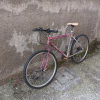 bici  mtb   