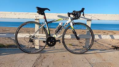 Bdc Fondriest