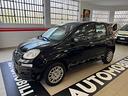fiat-panda-pandina-1-0-firefly-65-cv-hybrid-icon